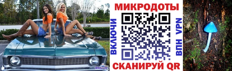 МЕГА зеркало  купить   Калач  Псилоцибиновые грибы GOLDEN TEACHER 